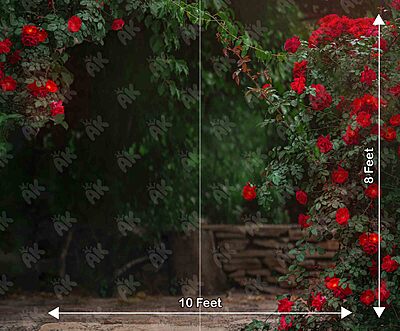 Red Rose Garden (PRE-ORDER) Red Rose Garden (PRE-ORDER)