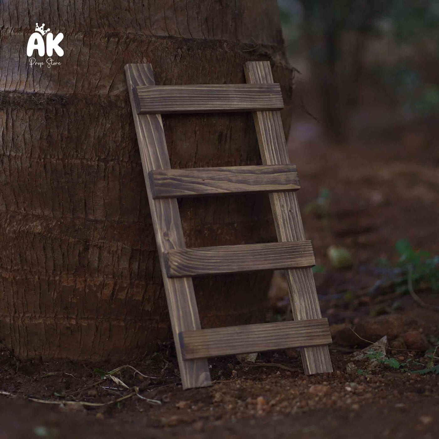 Tiny Ladder Tiny Ladder