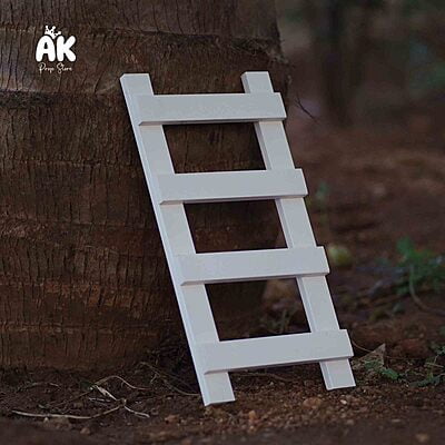 Tiny Ladder