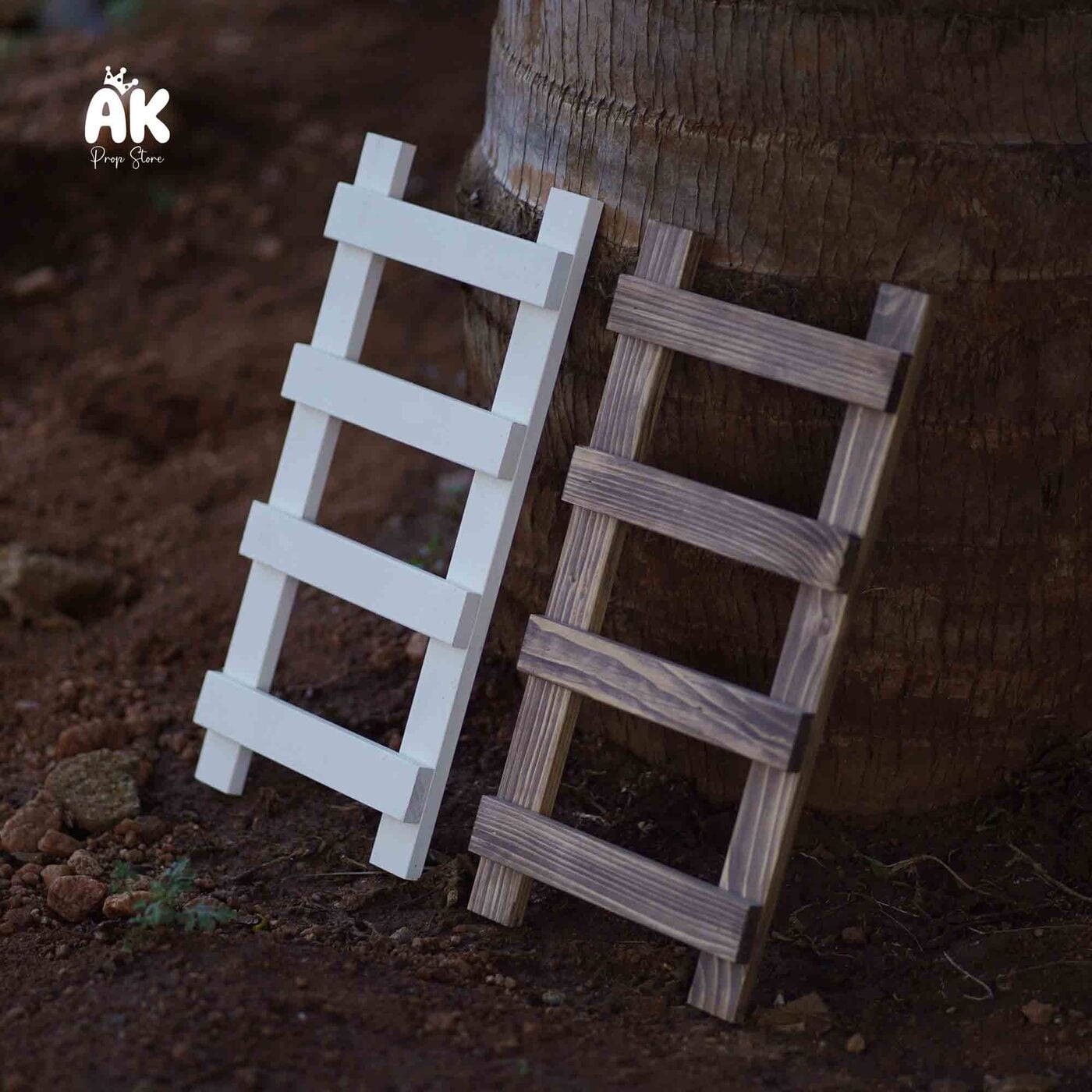 Tiny Ladder Tiny Ladder