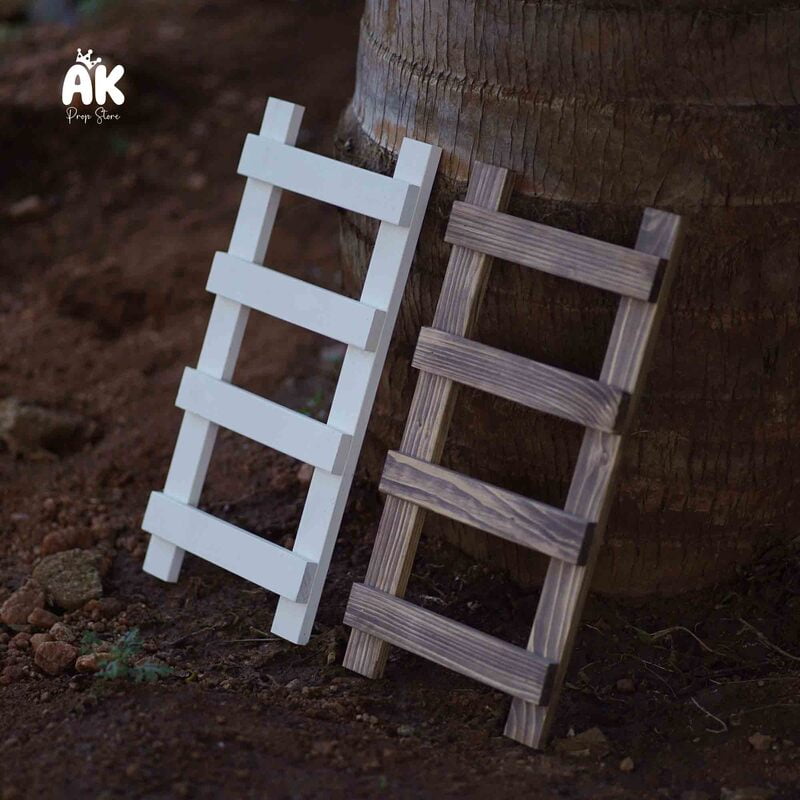 Tiny Ladder Tiny Ladder