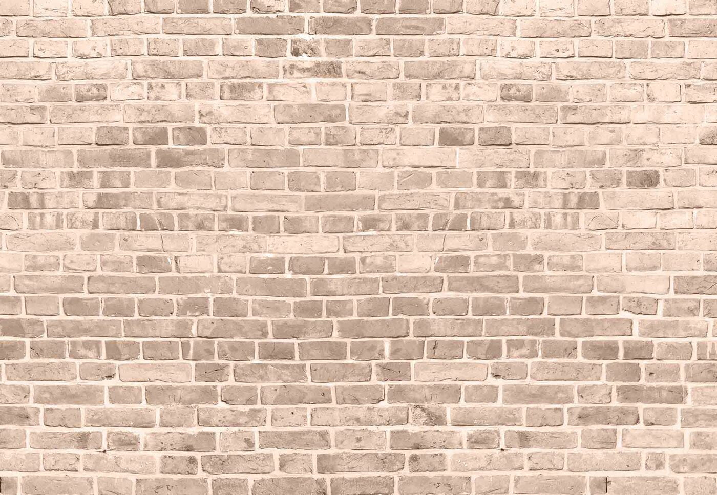 Fabric Baby Backdrop - Light Brick Wall